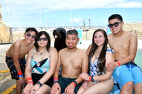 Sea lions