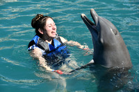 Dolphins Mantareys