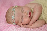 Annaleigh's Newborn Pictures