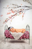 Aubrie B