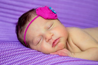 Angelina Rose