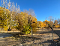 Side Yard, Field & Chicken Coop