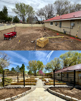 Before and After