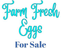 Farm Stand